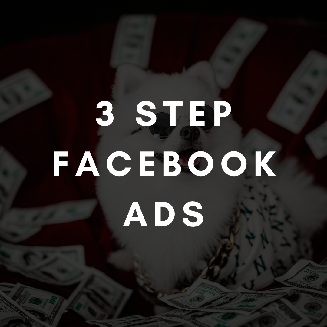 3 step Facebook ads course (local area)