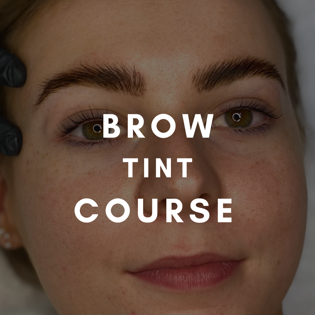 Brow & Lash tint course
