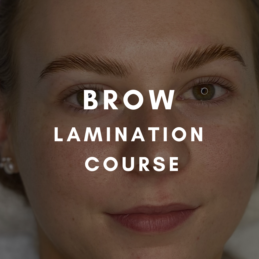 Brow lamination course