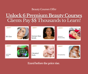 bundle best of courses 1 day sale