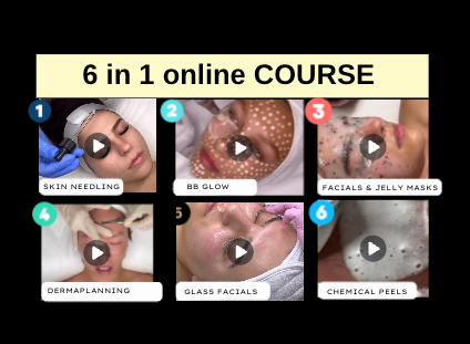 bundle best of courses 1 day sale