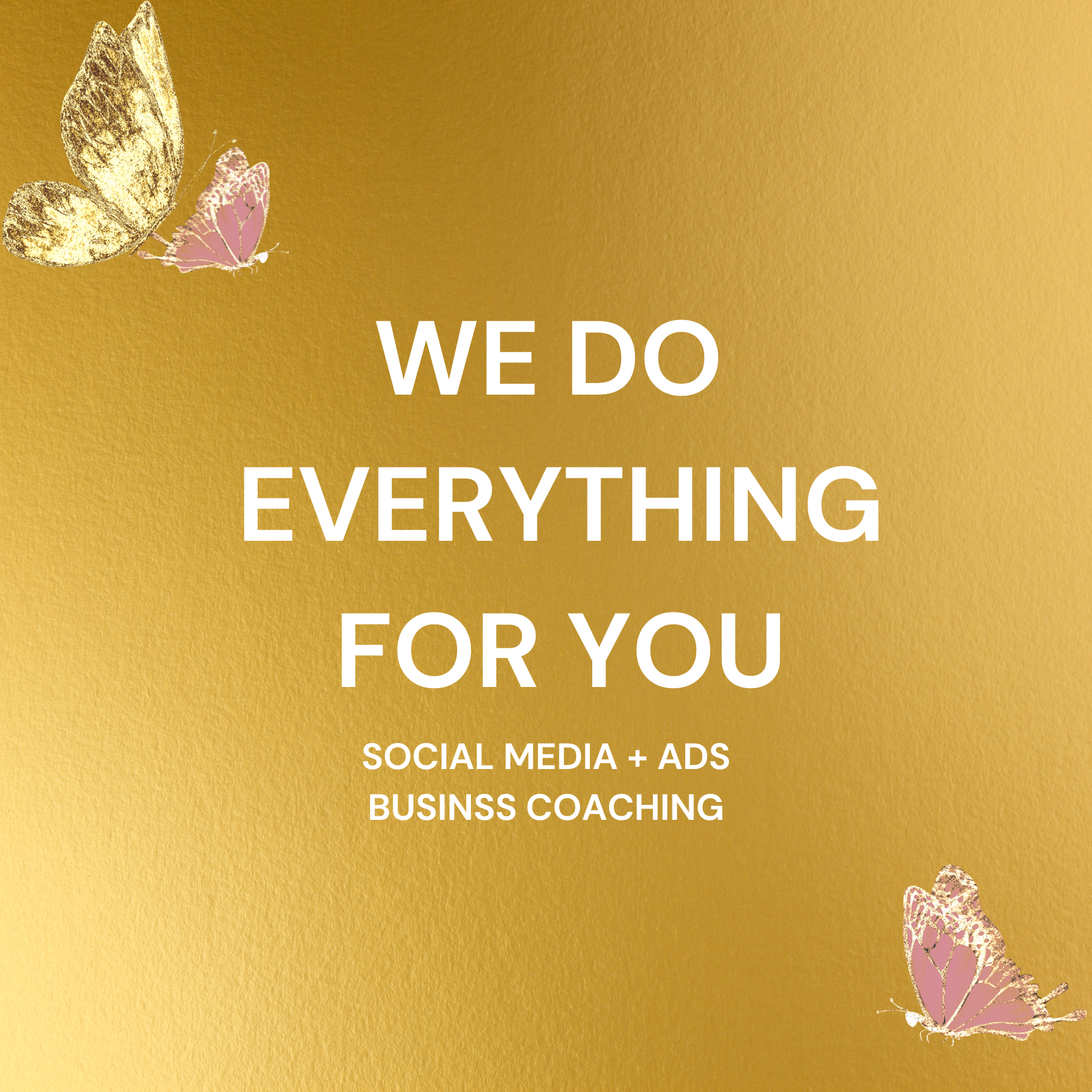 Gold: Website + social media + facebook ads 3 months